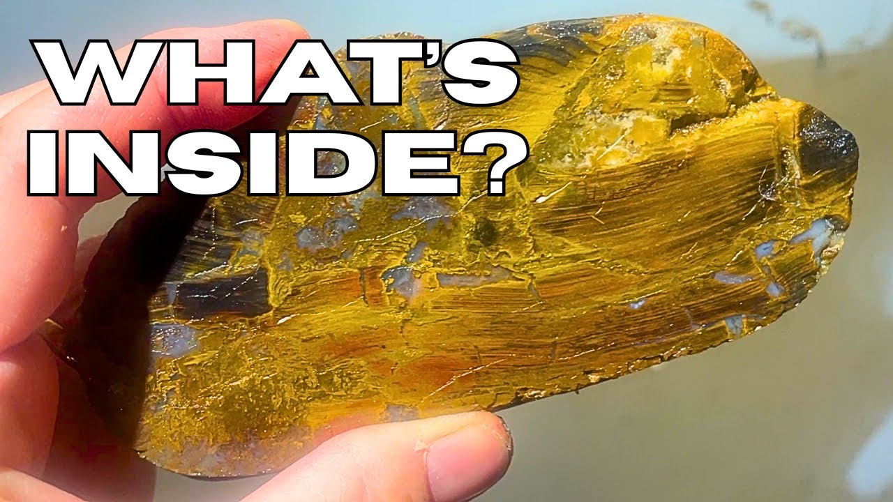 Cutting Rocks: What's Inside these Agates, Jasper and Petrified Wood from the Yellowstone River
