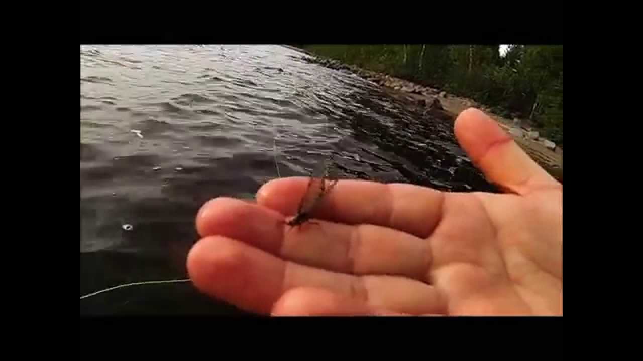 seskar&ouml; flug fiska