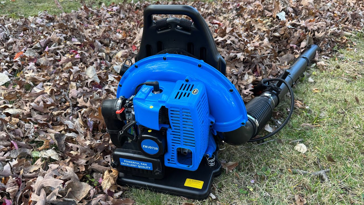 How Good Is a $114 Leaf Blower From Temu?!!