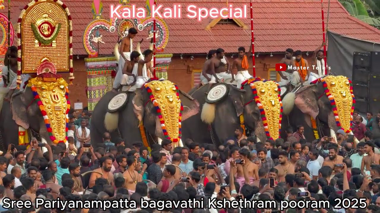പരിയാനംപറ്റ പൂരം 2025 ഫുൾ വീഡിയോ || Sree Pariyanampatta bagavathi temple pooram 2025 full video