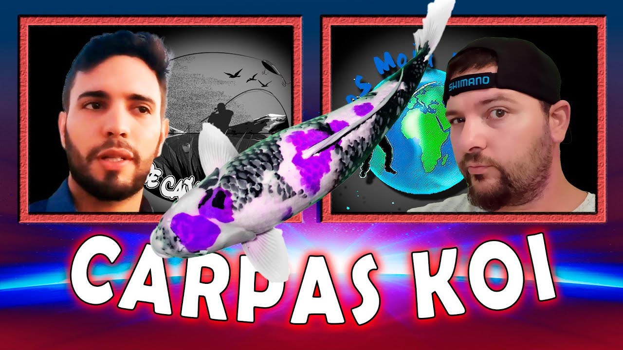 ✅HAY carpas KOI en URUGUAY?? // Los Moja Piolas X Entre Ca&ntilde;as y Aparejos //Pesca