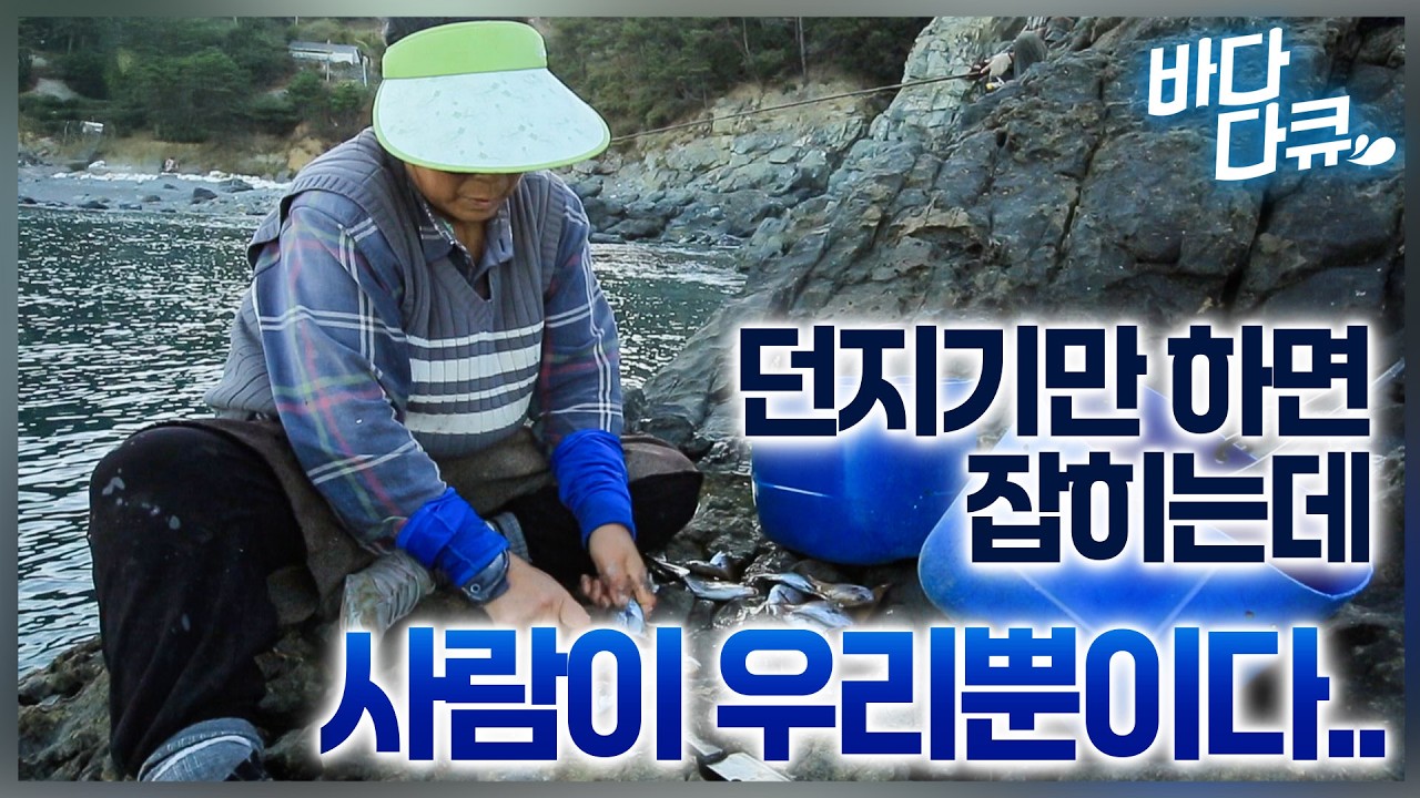 여긴 진짜 ‘물 반, 물고기 반’/밥 때 되면 집 앞 바다로 나가, 빠르게 반찬거리 준비해오는 섬마을 부부/#바다다큐