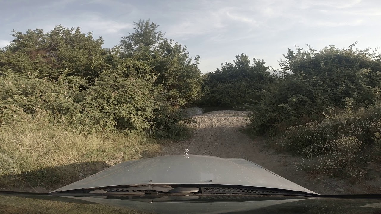 Road to the Vineyard