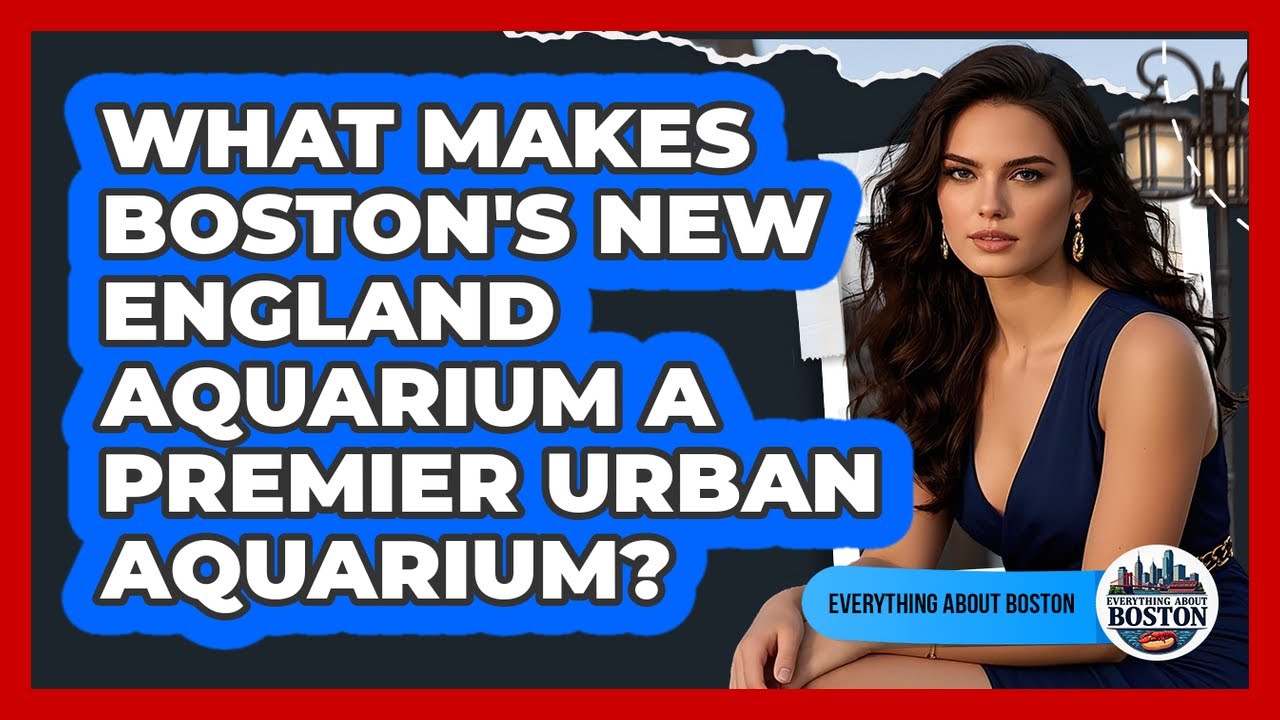 What Makes Boston's New England Aquarium A Premier Urban Aquarium? - Everything About Boston