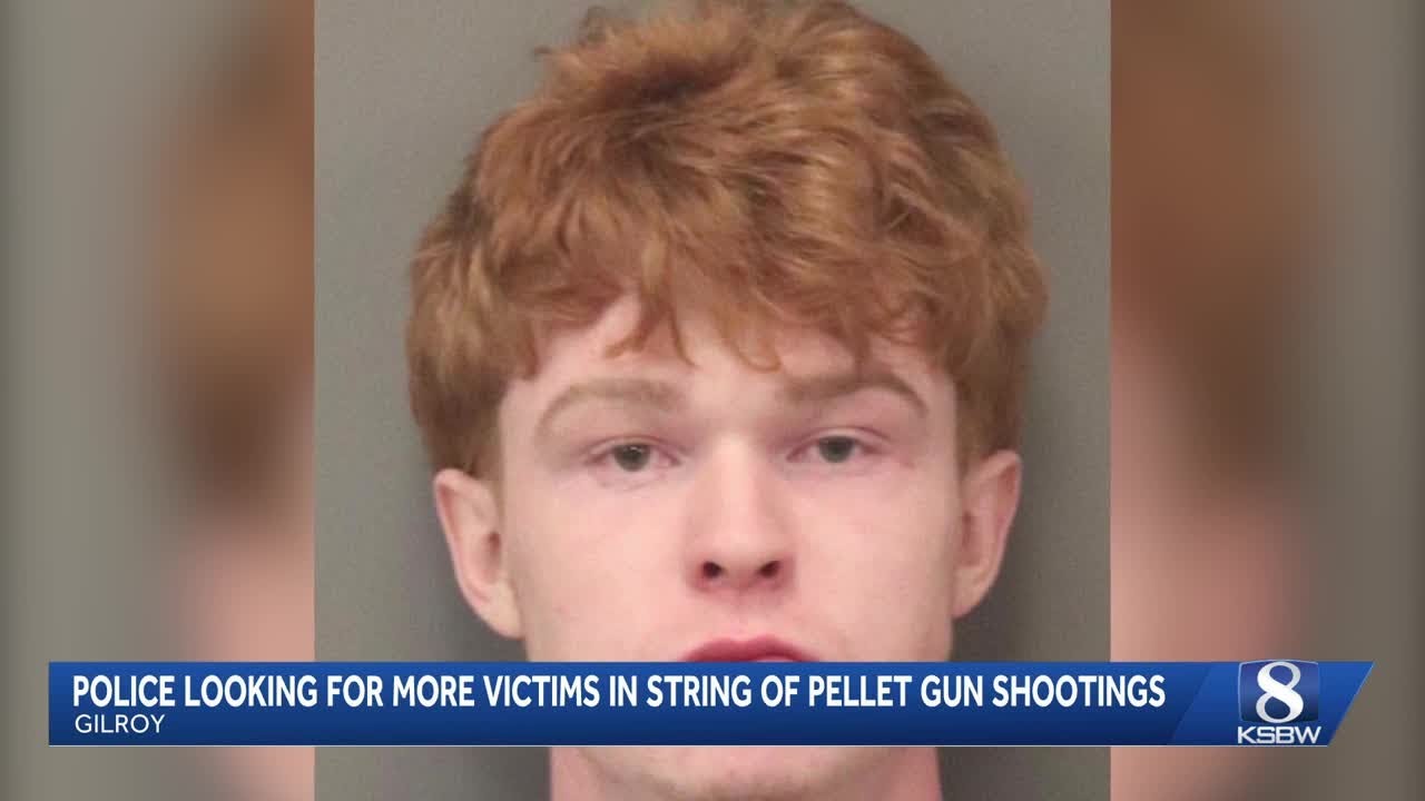 Gilroy man arrested for pellet rifle shootings targeting seven people