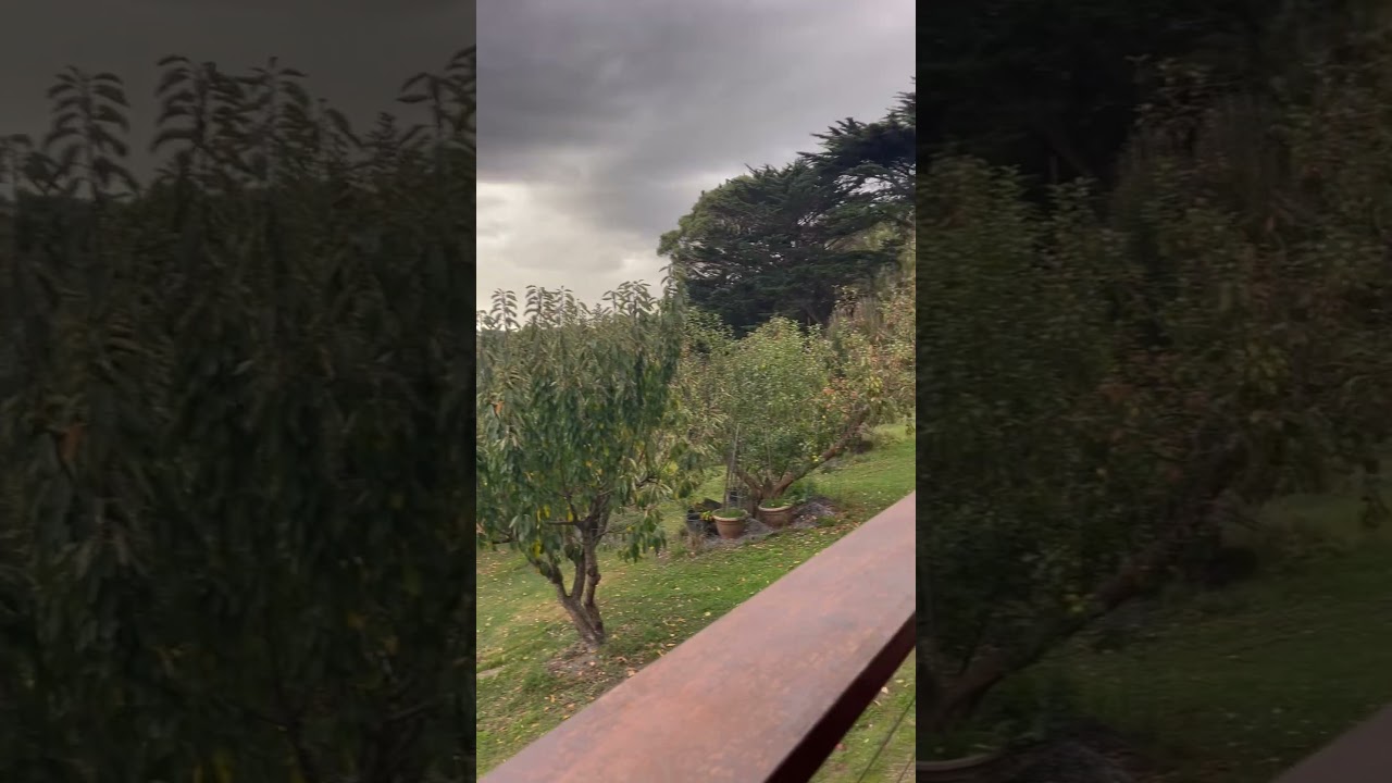 Abeli Winery Mornington Peninsula 