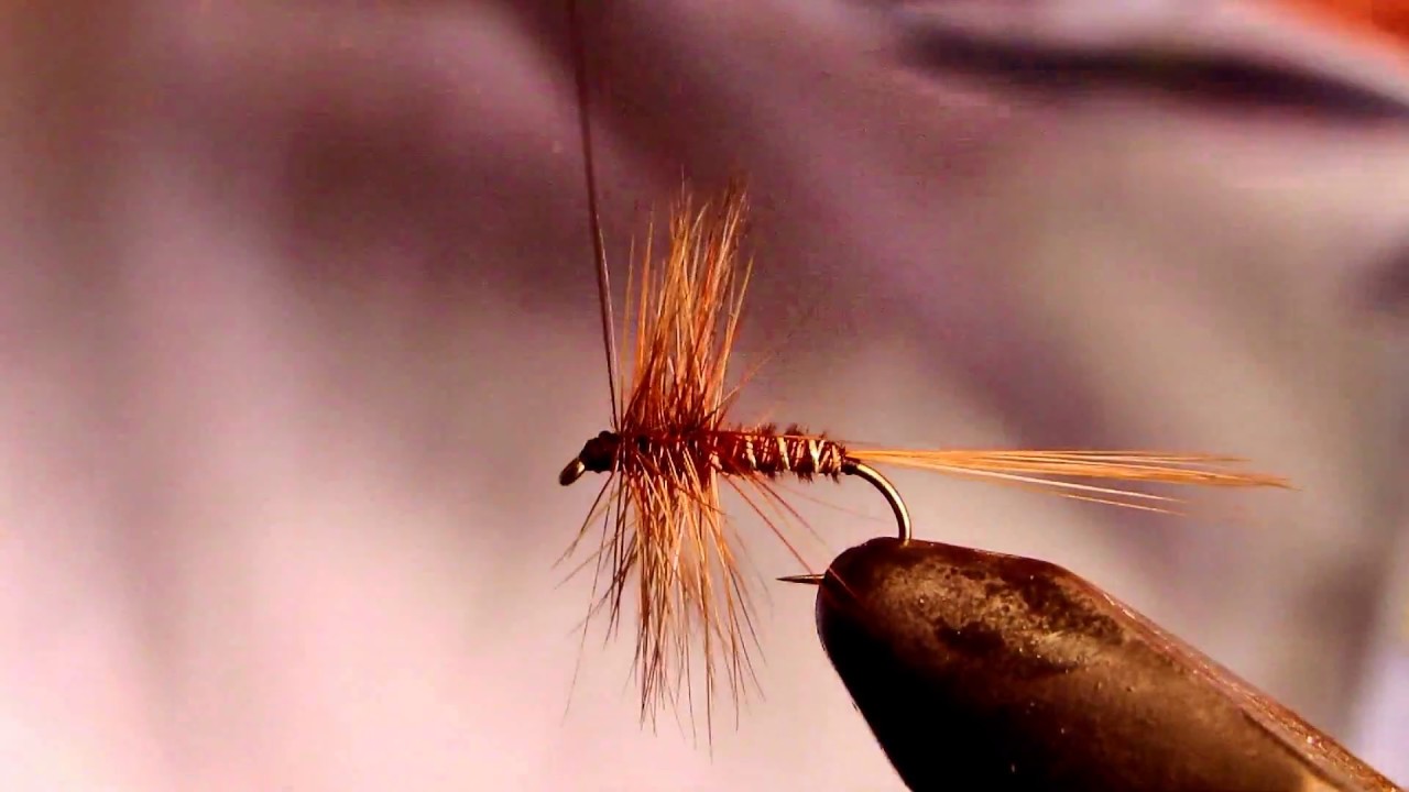 Costruzione mosca secca Pheasan tail dry fly tying - Costruisce Pietro Lucchini