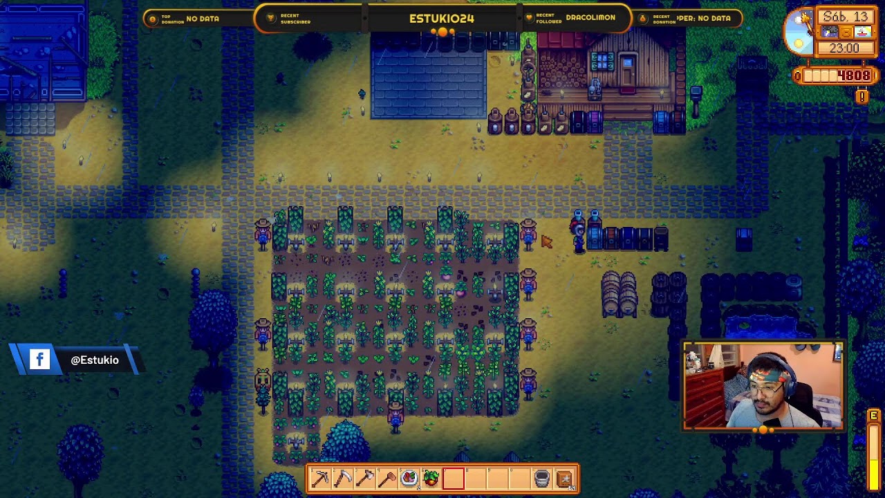 Stardew Valley - Aprovechando el Verano