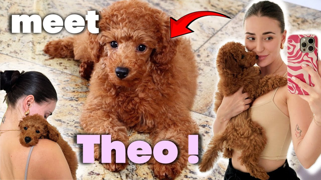 MÁME ŠTĚŇÁTKO!!! Tohle je Theo 🐶
