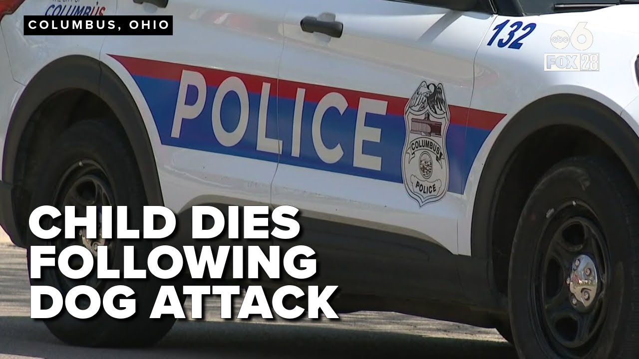 Child dies following dog attack