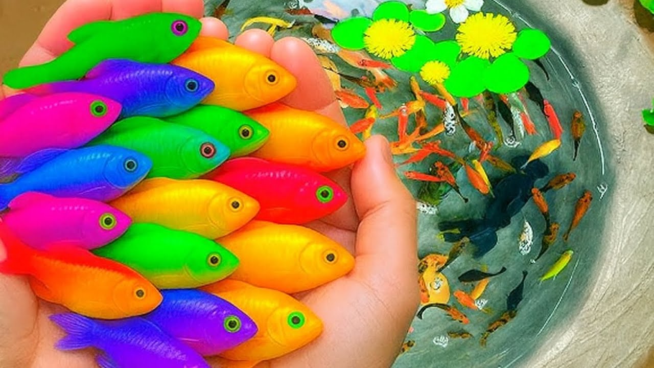 Catching Tiny, Colorful Fish in a Hidden Small Pond#Fishing#TinyFish#ColorfulFish#PondFishing#Nature