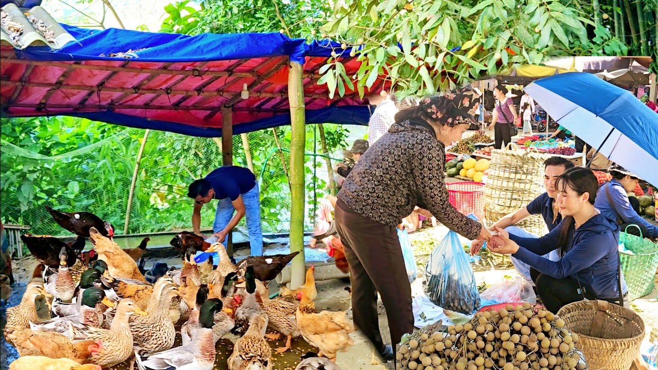 Leaving behind the past, Thuy is determined to build a new, happy life with Anh Men _Ly Thanh Thuy 