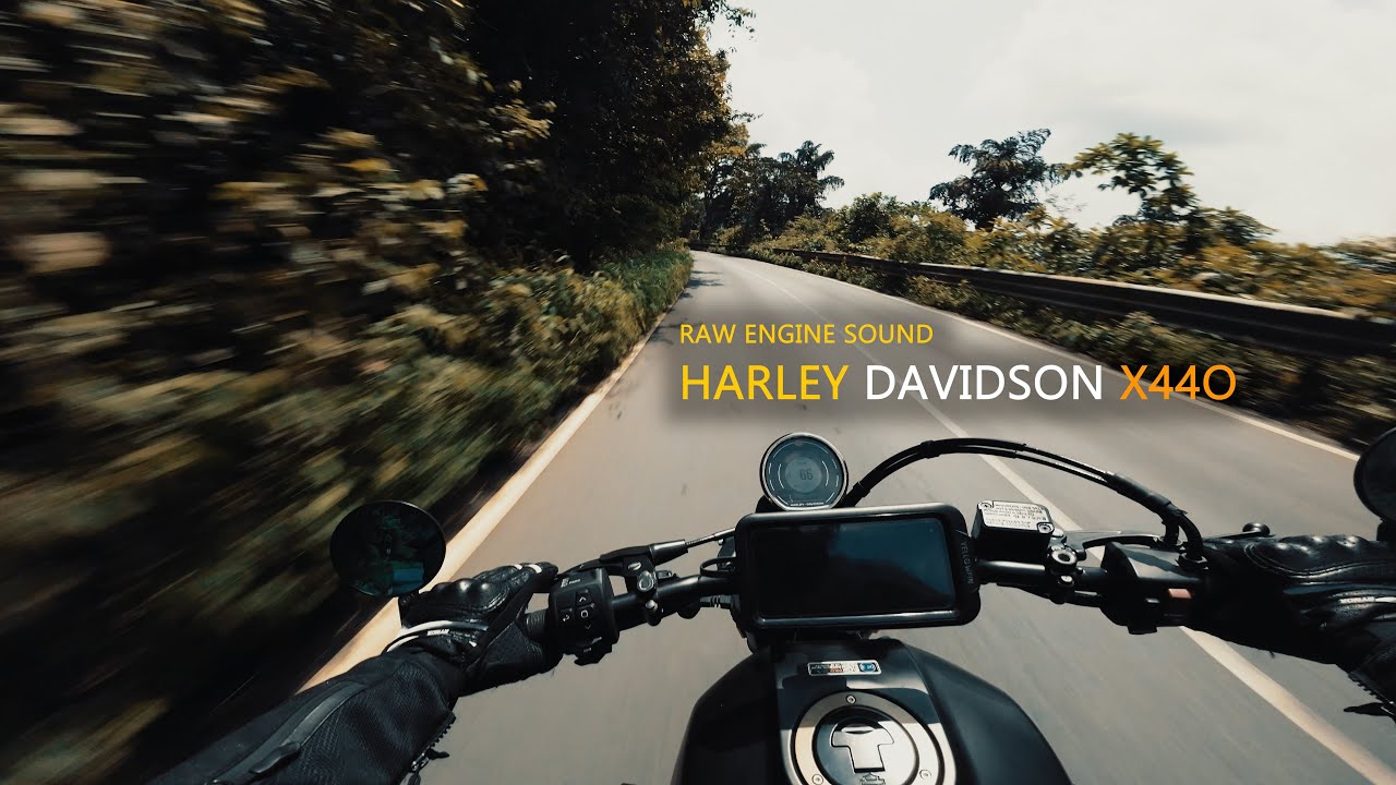 Raw Sound On Harley Davidson X440 | Morning Ride on the Ghat