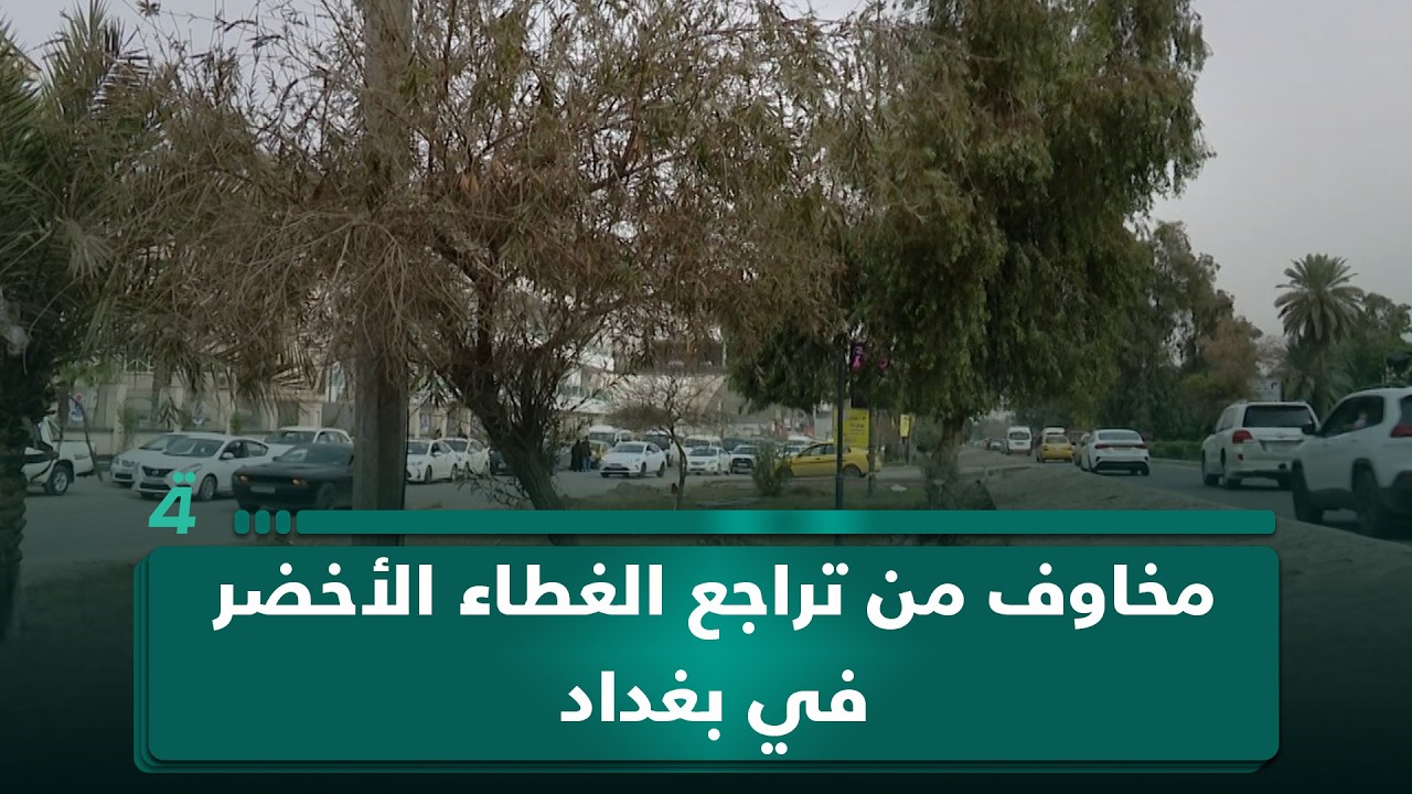 مخاوف من تراجع الغطاء الأخضر في بغداد