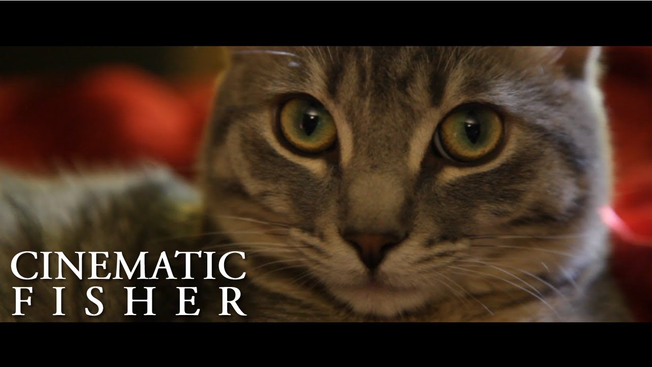 Cinematic Fisher