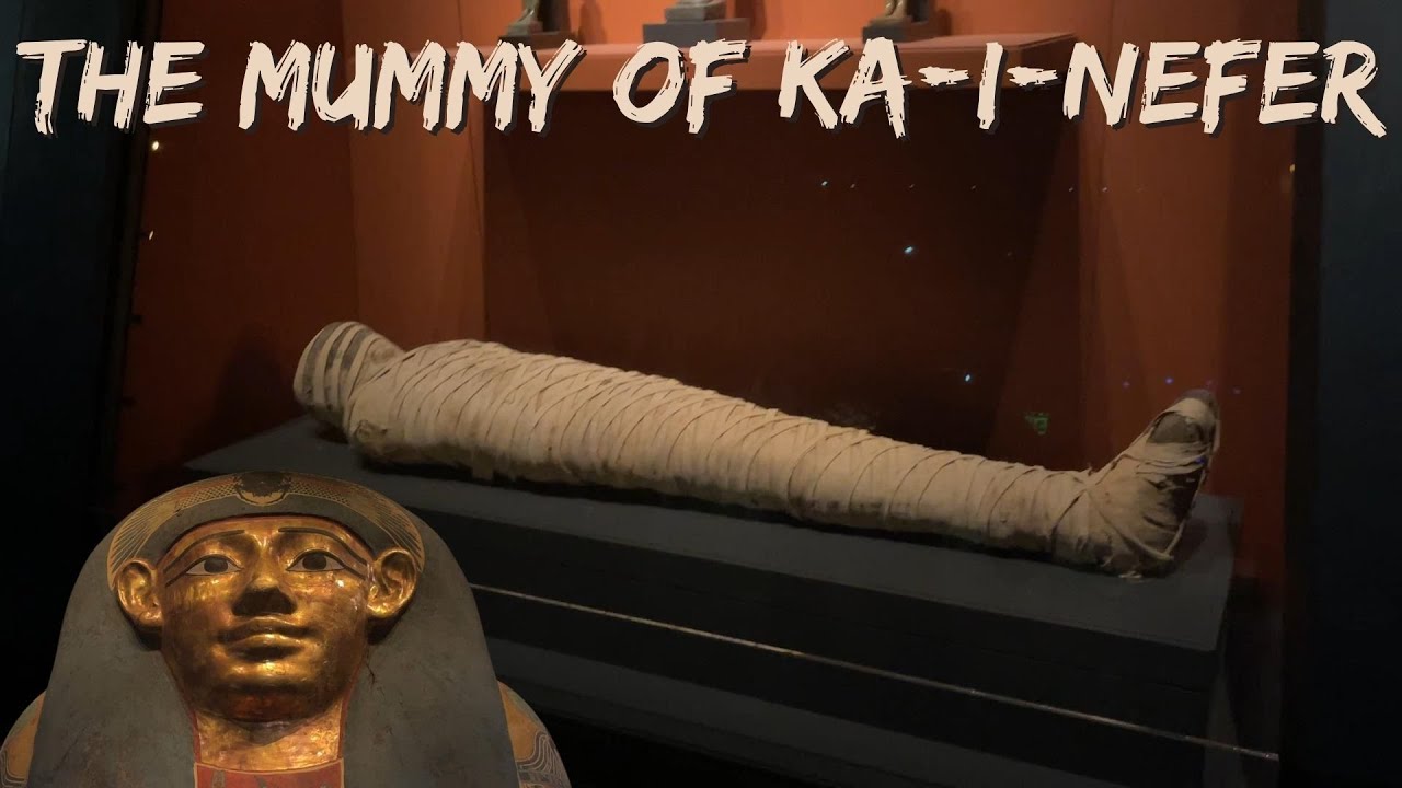 Mummy, Sarcophagus, Tomb Artifacts: Egypt, Greece & Rome-The Nelson Atkins Museum of Art Kansas City