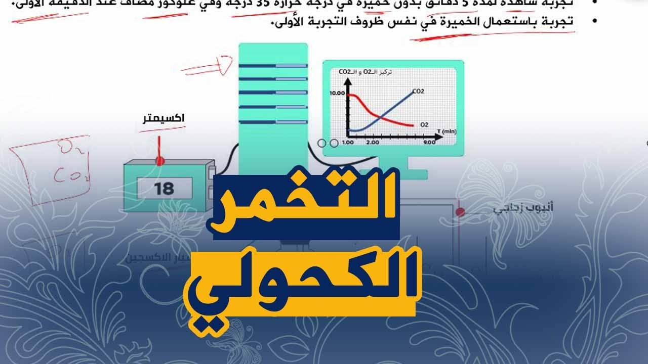 الدرس 13 :التخمر الكحولي عند فطر الخميرة علوم طبيعية للسن الرابعة متوسط الجيل الثاني