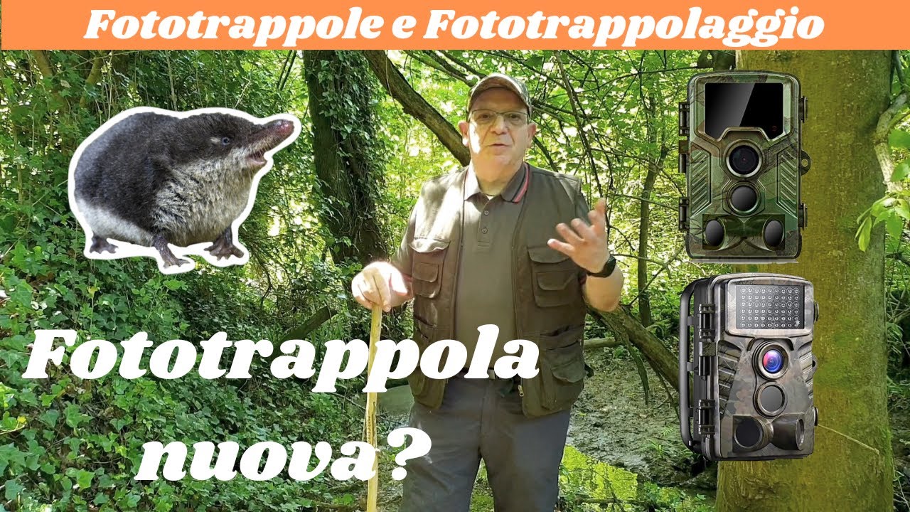 5 Consigli per scegliere la fototrappola perfetta!+ bonus finale.