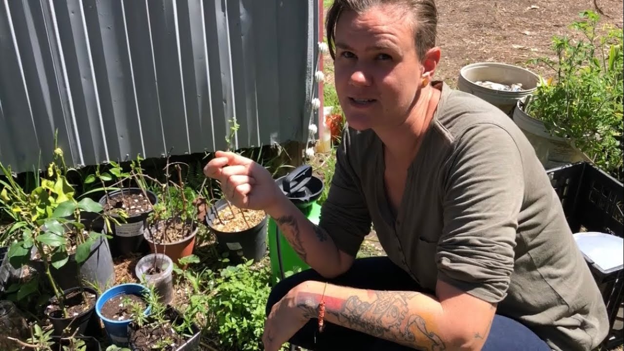 Full Spring Garden Tour | Off Grid in South Africa