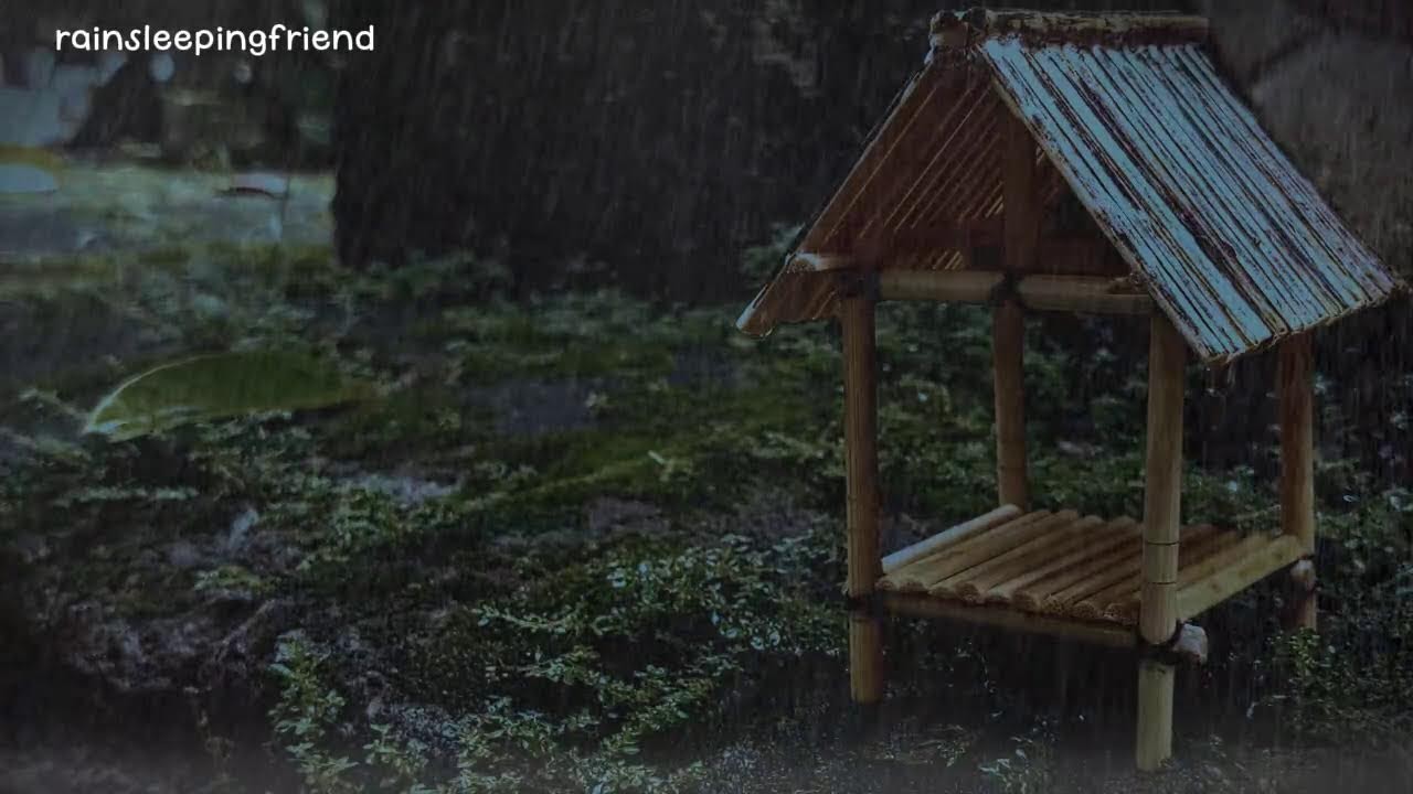 Relaxing Rain ASMR on a Tiny Bamboo Hut | Nature Sounds for Sleep