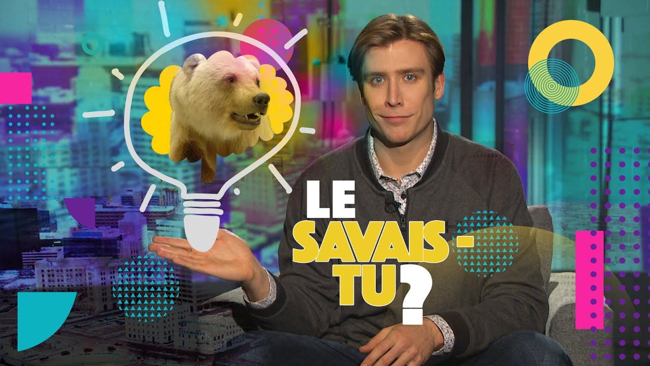 [Le savais-tu?] Les &laquo; pizzlys, ces ours hybrides