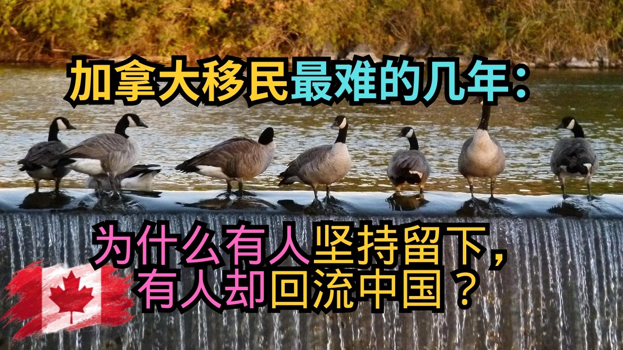 加拿大移民最难的几年：为什么有人坚持留下，有人却回流中国？｜加拿大移民｜CanadaImmigration｜S哥闯北美