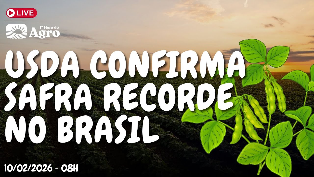 USDA confirma SAFRA RECORDE de SOJA do Brasil - AO VIVO - 11/02/2026