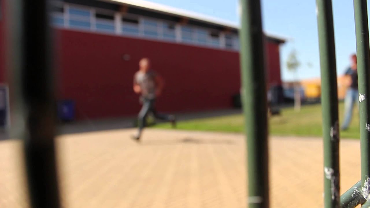 Dutch Cell Dogs
