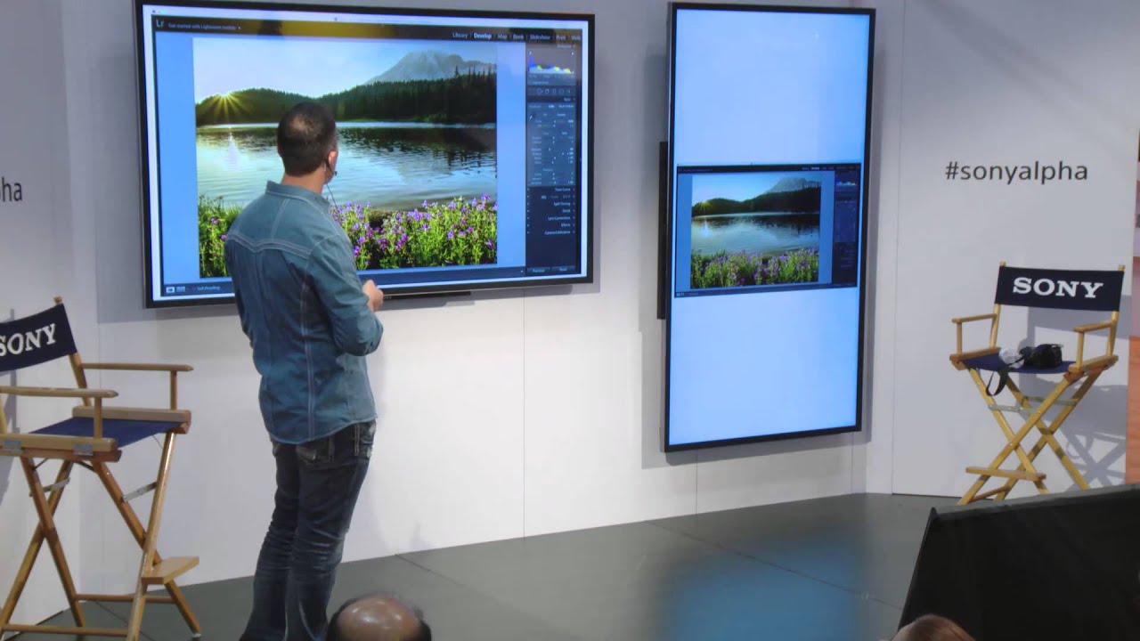 A Look Inside the Files: What Makes Sony RAW Unique