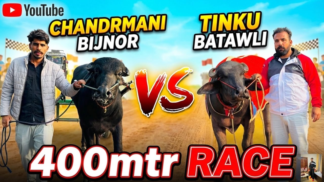चन्द्रमणि बिजनौर 🆚 टिंकू बटावली आज की रेस टाइम का मुक़ाबला विजेता टिंकू बटावली team 🏆 टाइम 31:04 ❤️