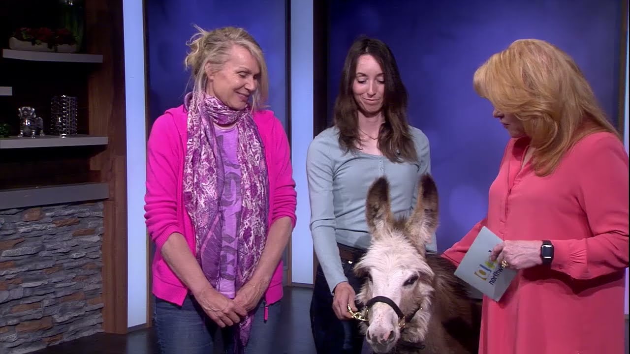 Clare Staples of Skydog Ranch & Sanctuary Visits Along with a Rescued Donkey Named Forest
