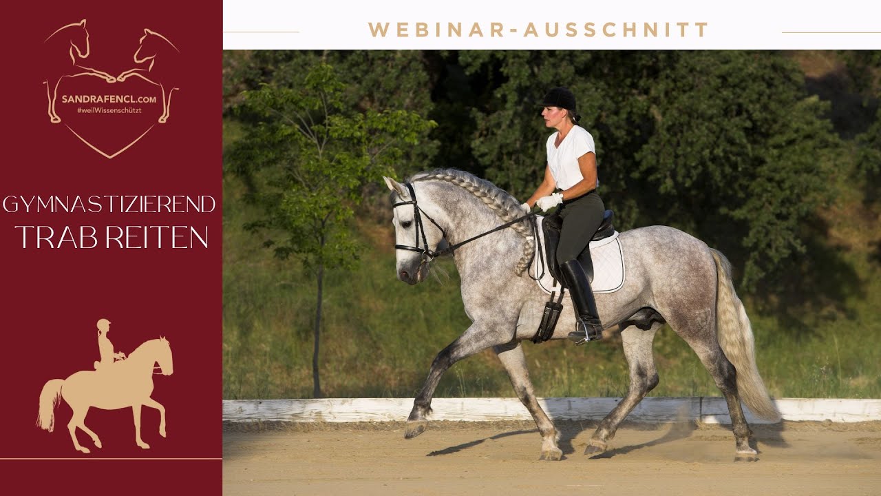 🐎 Trainingstipp gymnastizierendes Trab Reiten - Webinarausschnitt