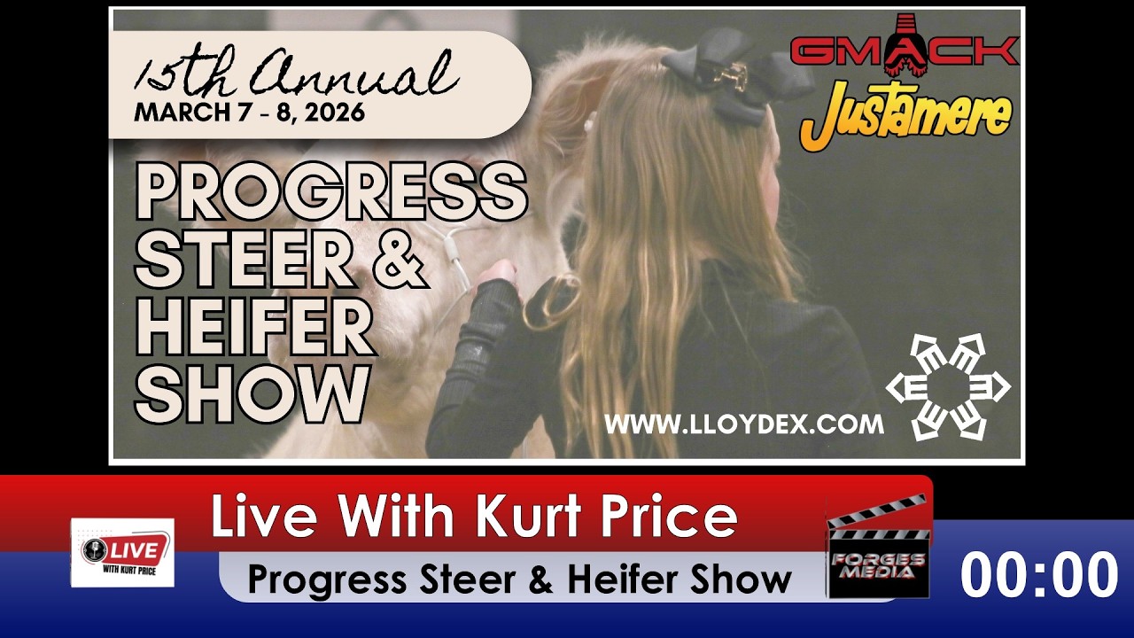 GMACK Progress Steer & Heifer Show
