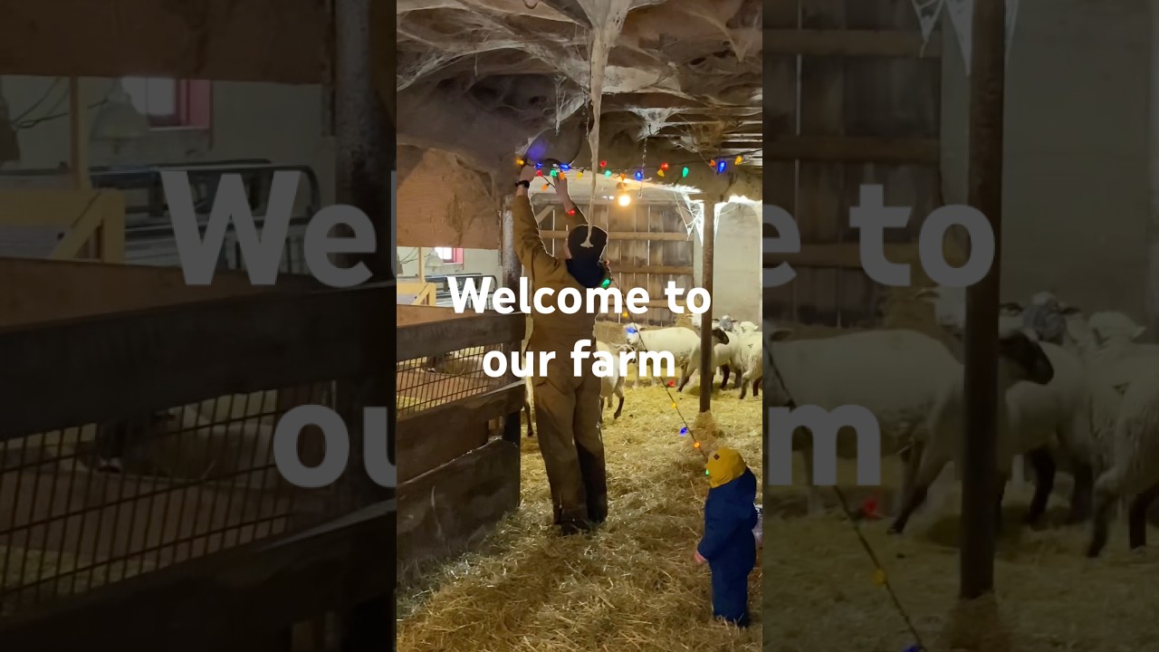 Welcome to our farm