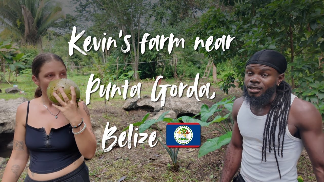 🇧🇿Местная ферма на юге Белиза 🌴 Пробуем местные фрукты 🥥 Видеоблог о путешествиях от Travelwithzoe 🩵