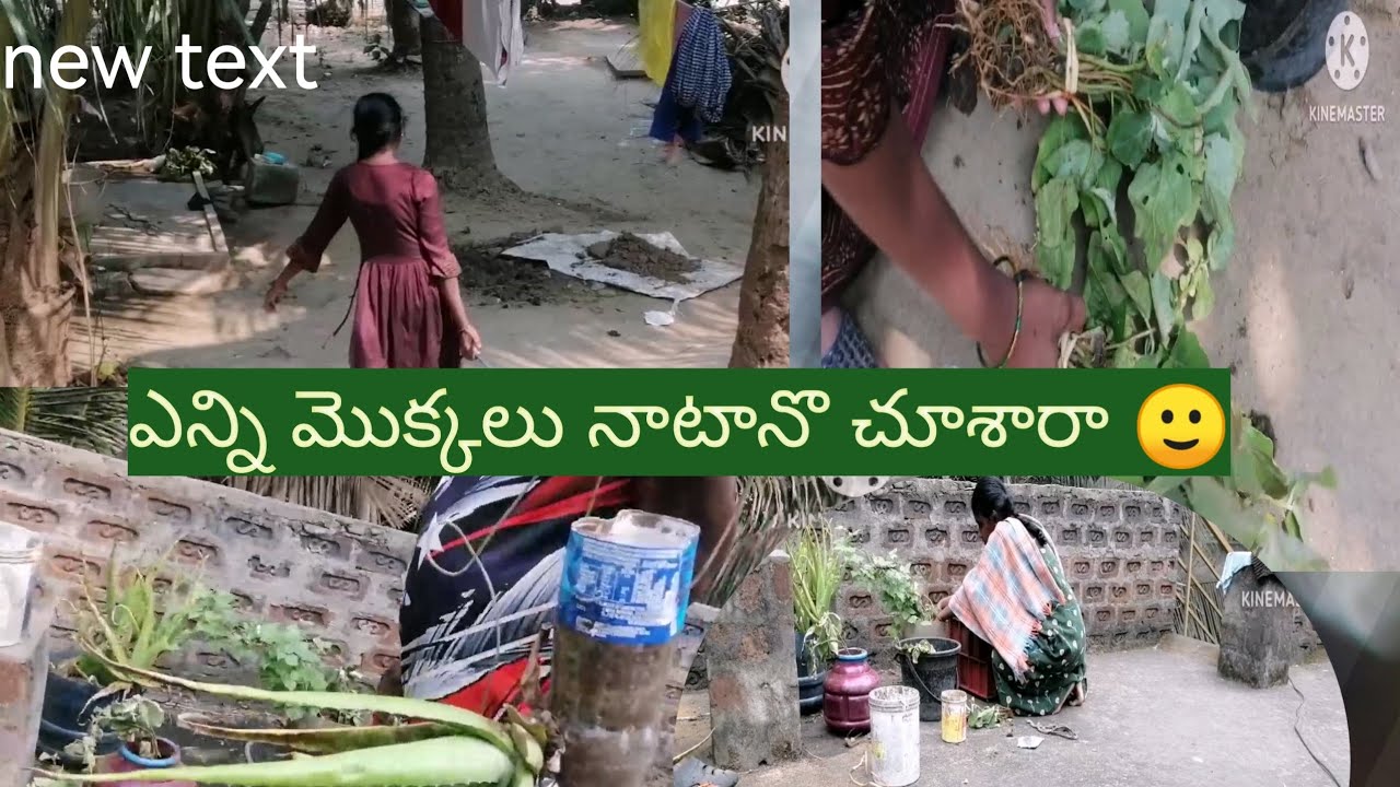 # ఇలాంటి మాటలు మీకు ఎప్పుడైనా చెప్పారా మీ ఇంటికి వచ్చి అసలు వాళ్ళు చెప్పింది నిజమా అబద్దమా🤷‍♀️