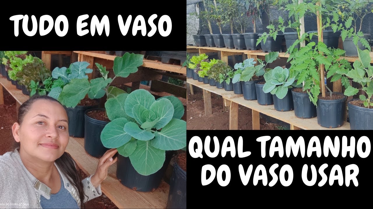 Minhas Hortaliças no Vaso, TAMANHO do VASO