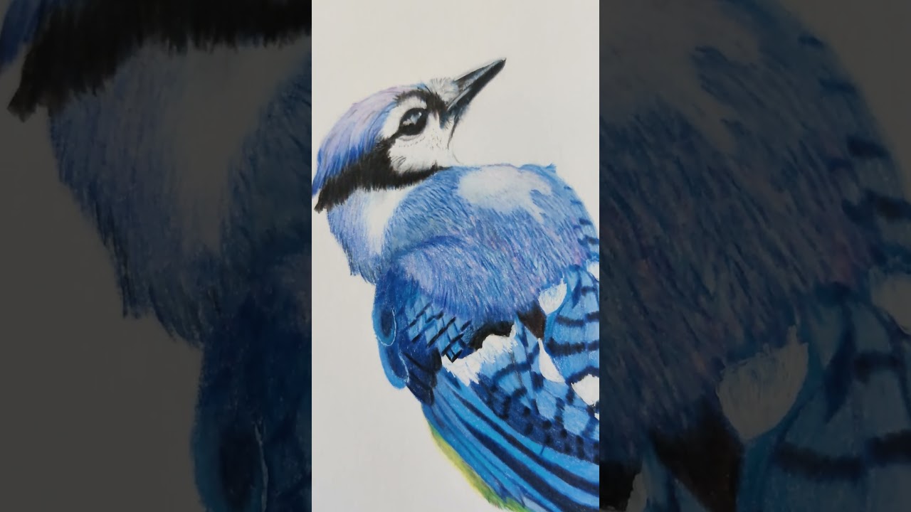 Art Works by Floating Palette #shorts #youtubeshorts #drawing #howtodraw