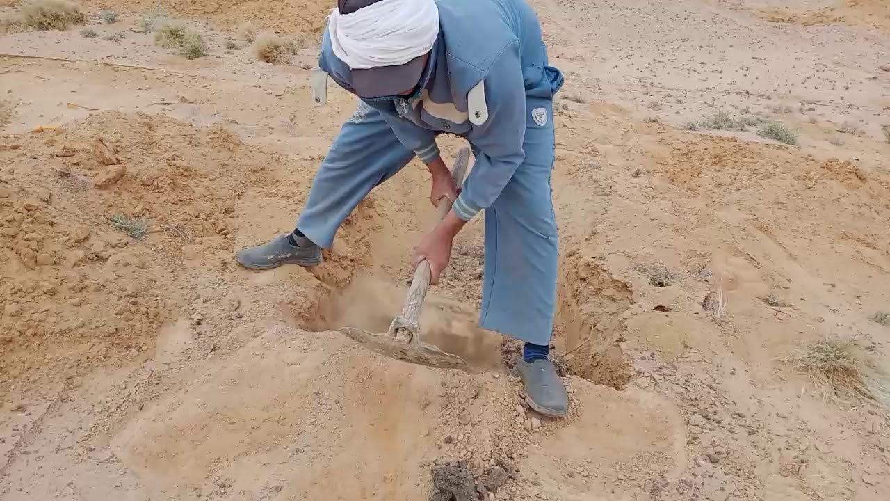 طريقة رائعةلتجهيز الجورة لزراعة الزيتون ارض المغرة