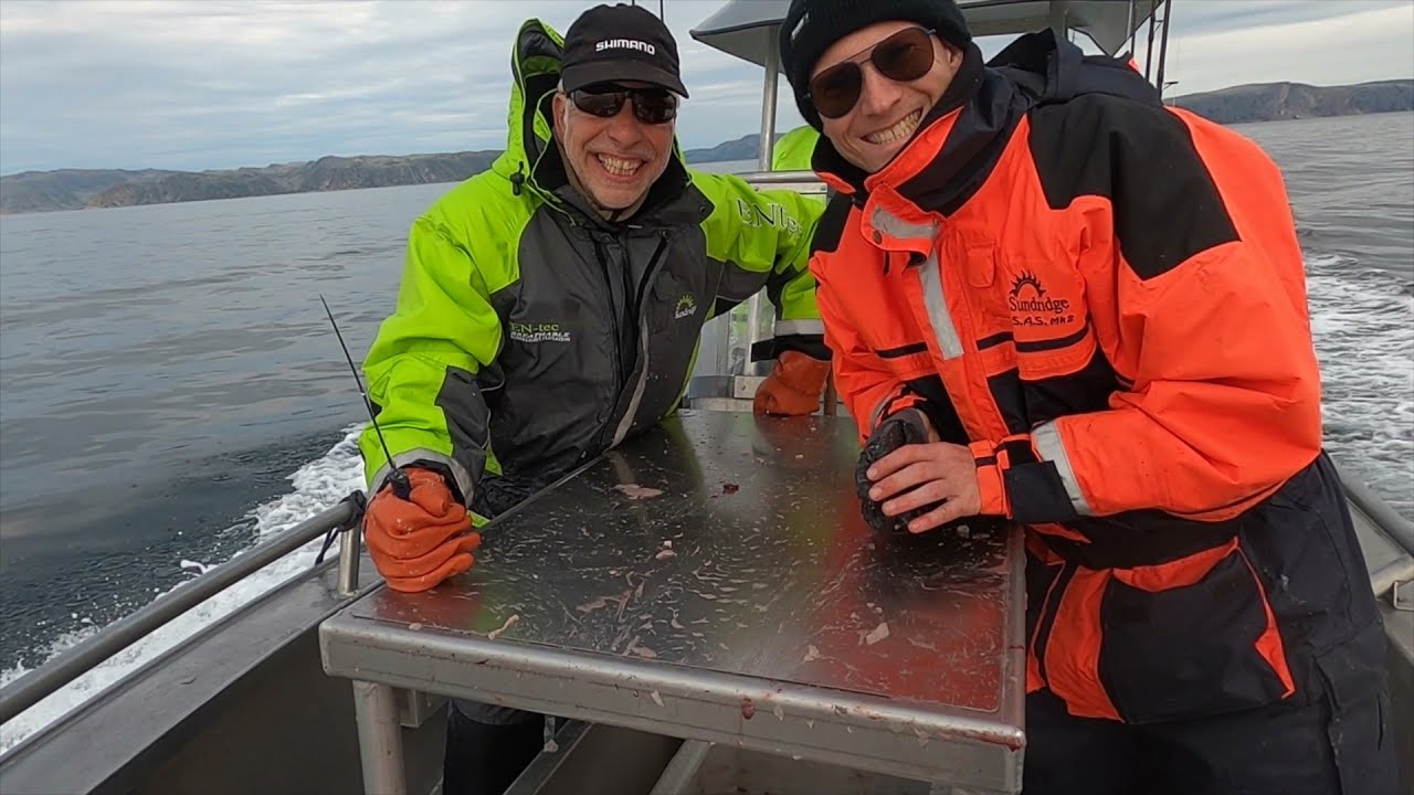 Måleren i Havøysund Norge, 2021