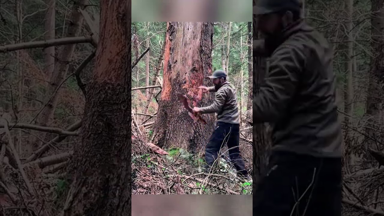 Ultimate Bushcraft Forest Shelter Building a Secret Semi Underground Log Cabin