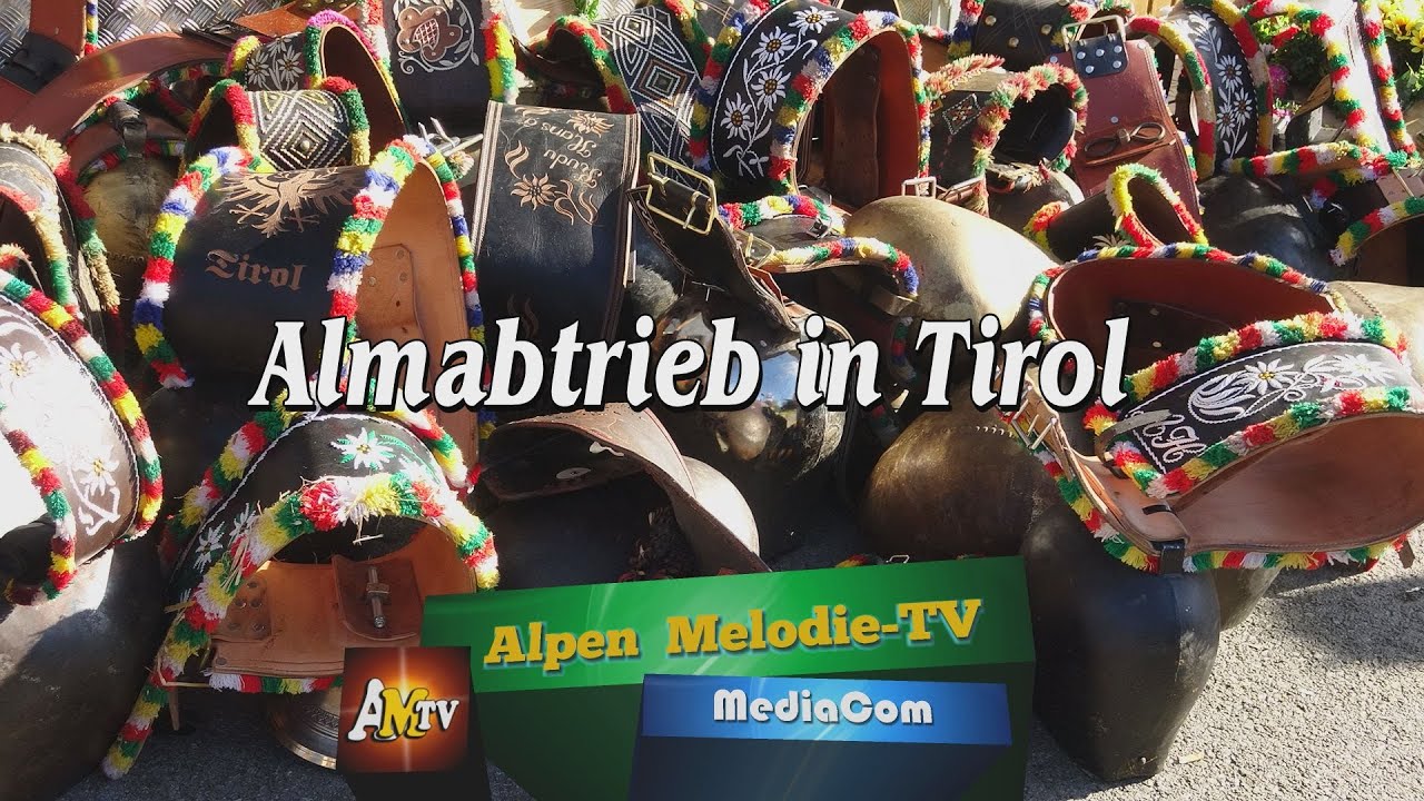 Almabtrieb in Tirol - Westendorf