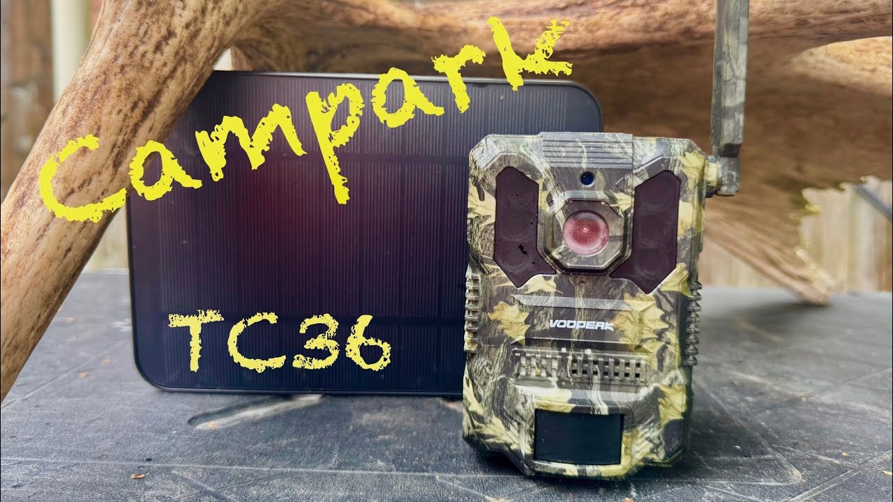 Обзор фотоловушки Campark TC-36