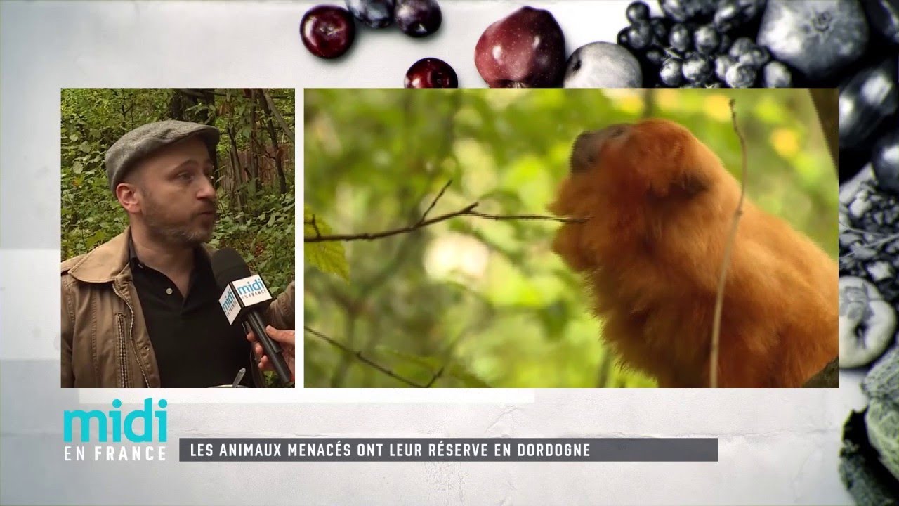 Les animaux menacés ont leur réserve en Dordogne