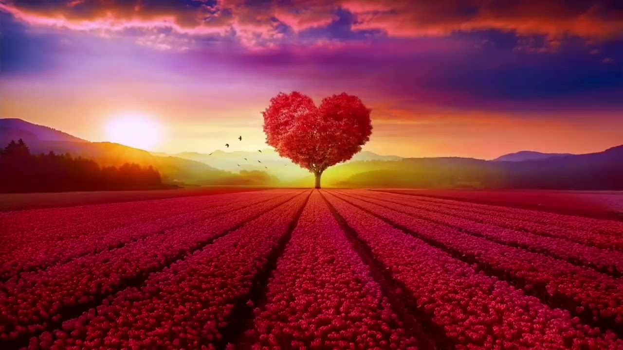 سورة الرزق ( الواقعة ) بصوت عبد الباسط عبد الصمد