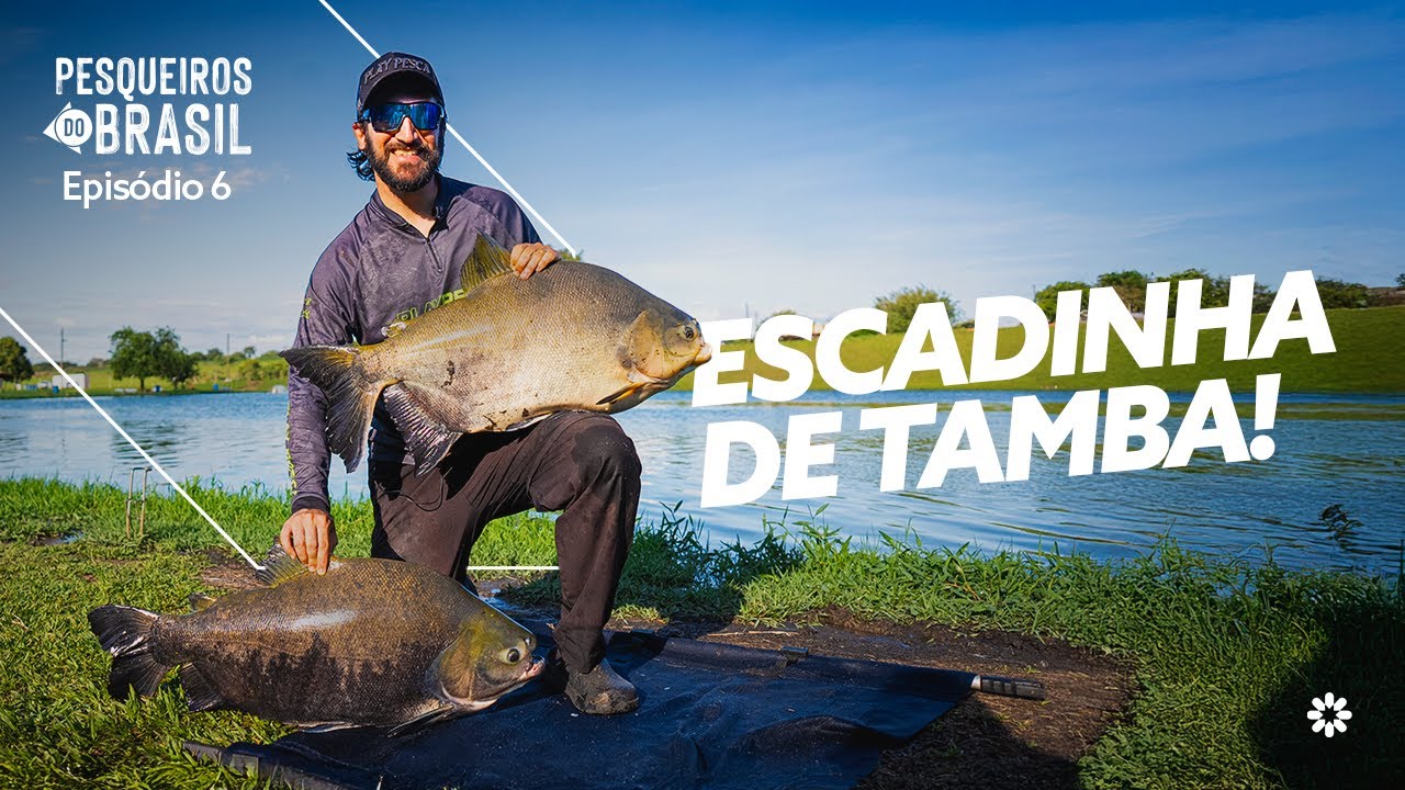 LOUCURA! MUITO TAMBA DE PESO