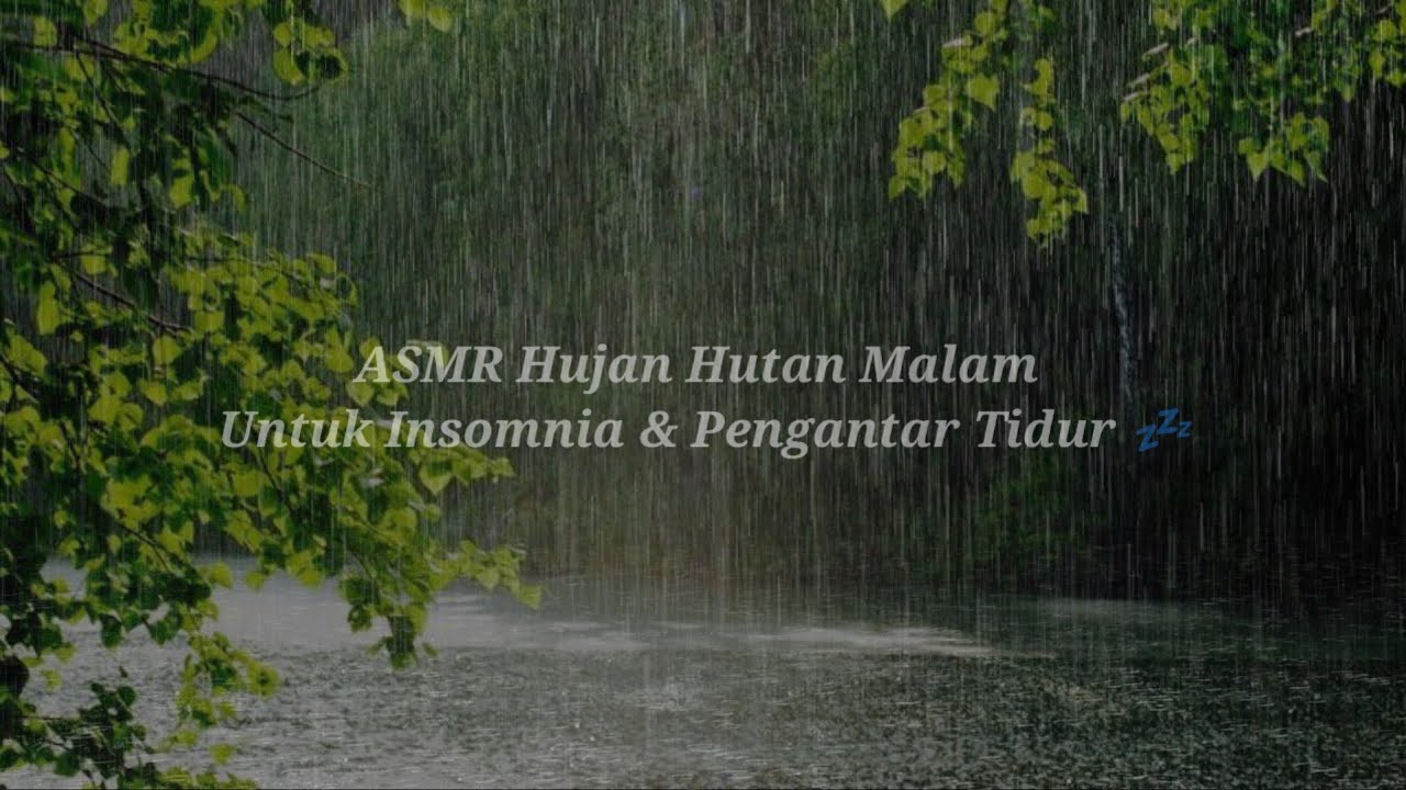 ASMR Hujan Hutan Malam 🌧 Tidur Nyenyak Atasi Insomnia & susah tidur #13 