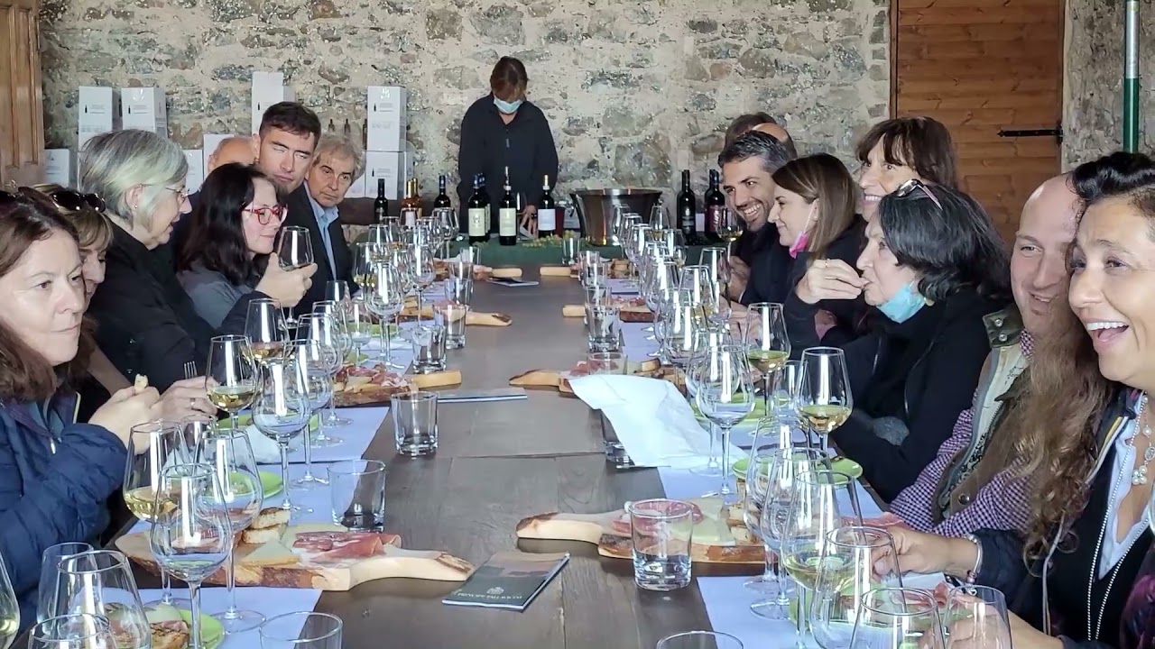 TENUTA PALLAVICINI  DEGUSTAZIONE  WINE  AND FOOD TASTING IN VINEYARD PALLAVICINI  #tenutapallavicini