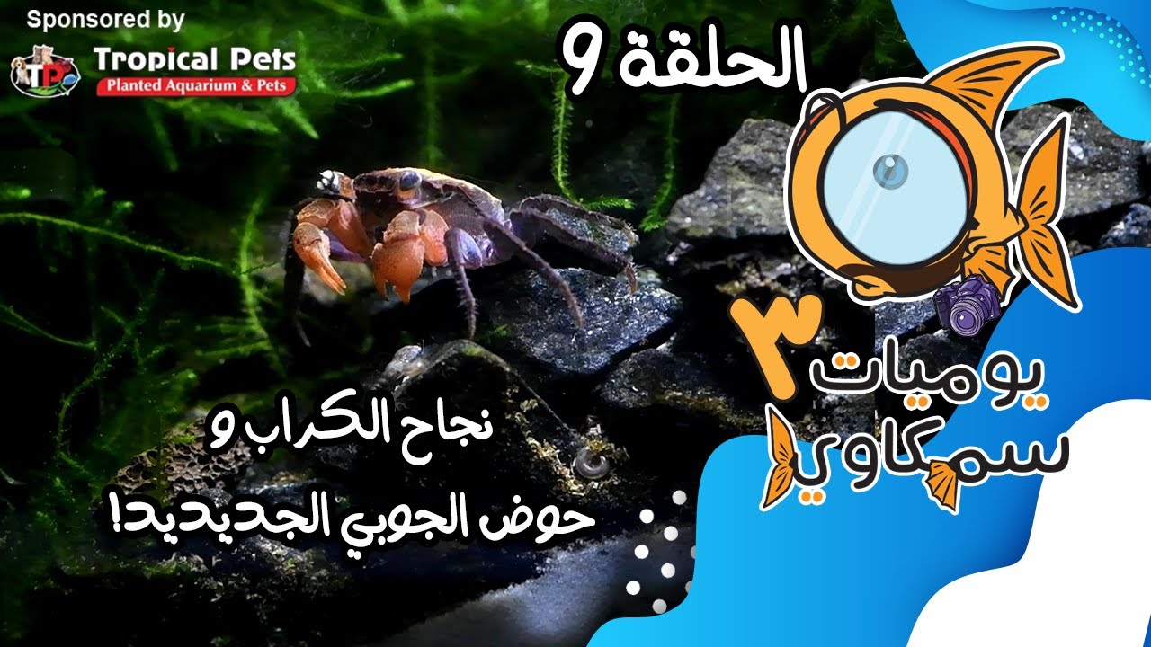 S3E9 - نجاح الكراب وحوض الجوبي الجديد!