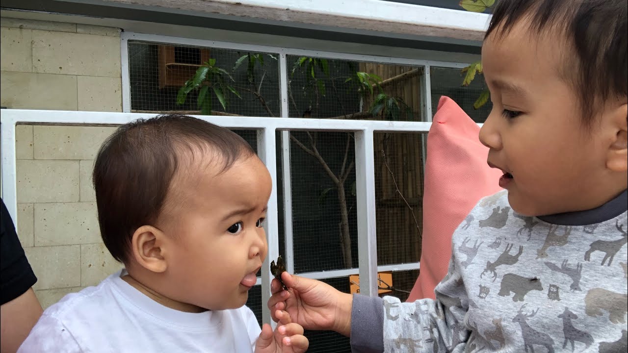 Reaksi Kakak sayang Adik Bayi | Little Kenzo suapin Sakura di area Kolam Anak